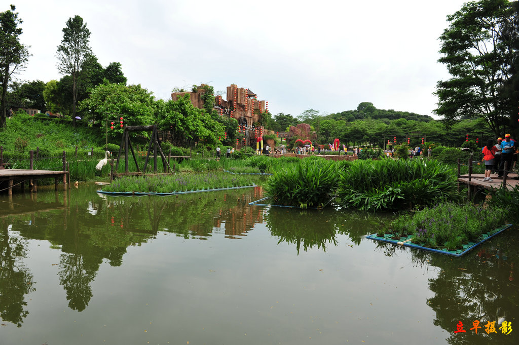 DSC_3149.jpg