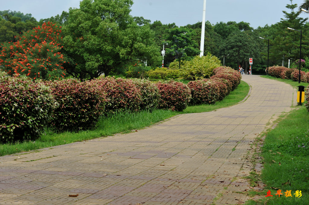 DSC_2848.JPG