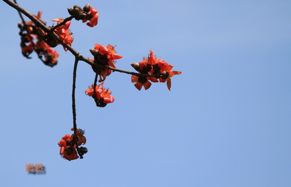 QQͼƬ20140418133201.jpg