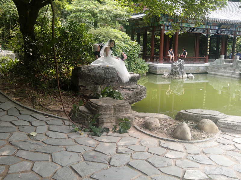 IMG_20140420_151629_.jpg