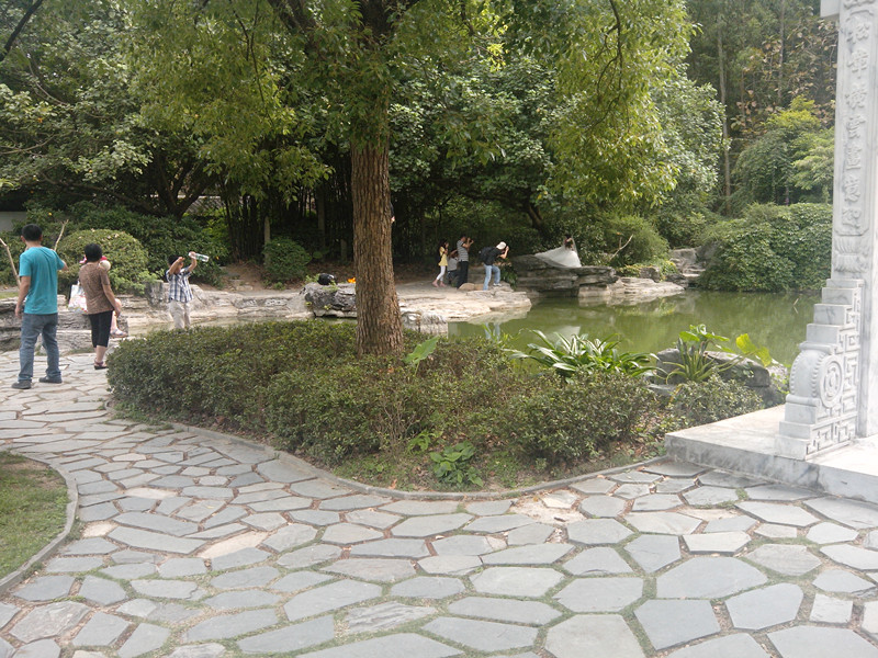 IMG_20140420_152117_.jpg