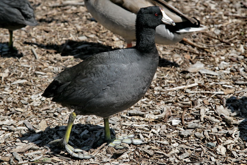 snqyc040514_1005.jpg