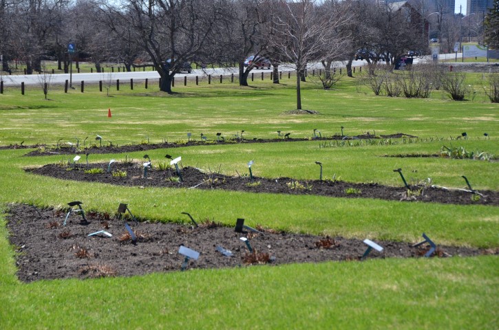 DSC_4027 (Small).JPG