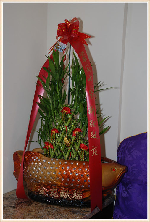 DSC_0077_ת.jpg