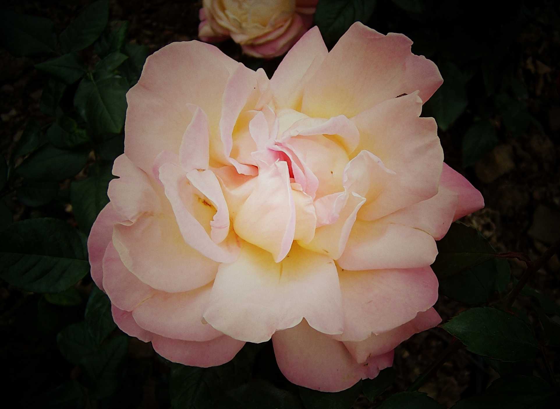 100_9044.JPG