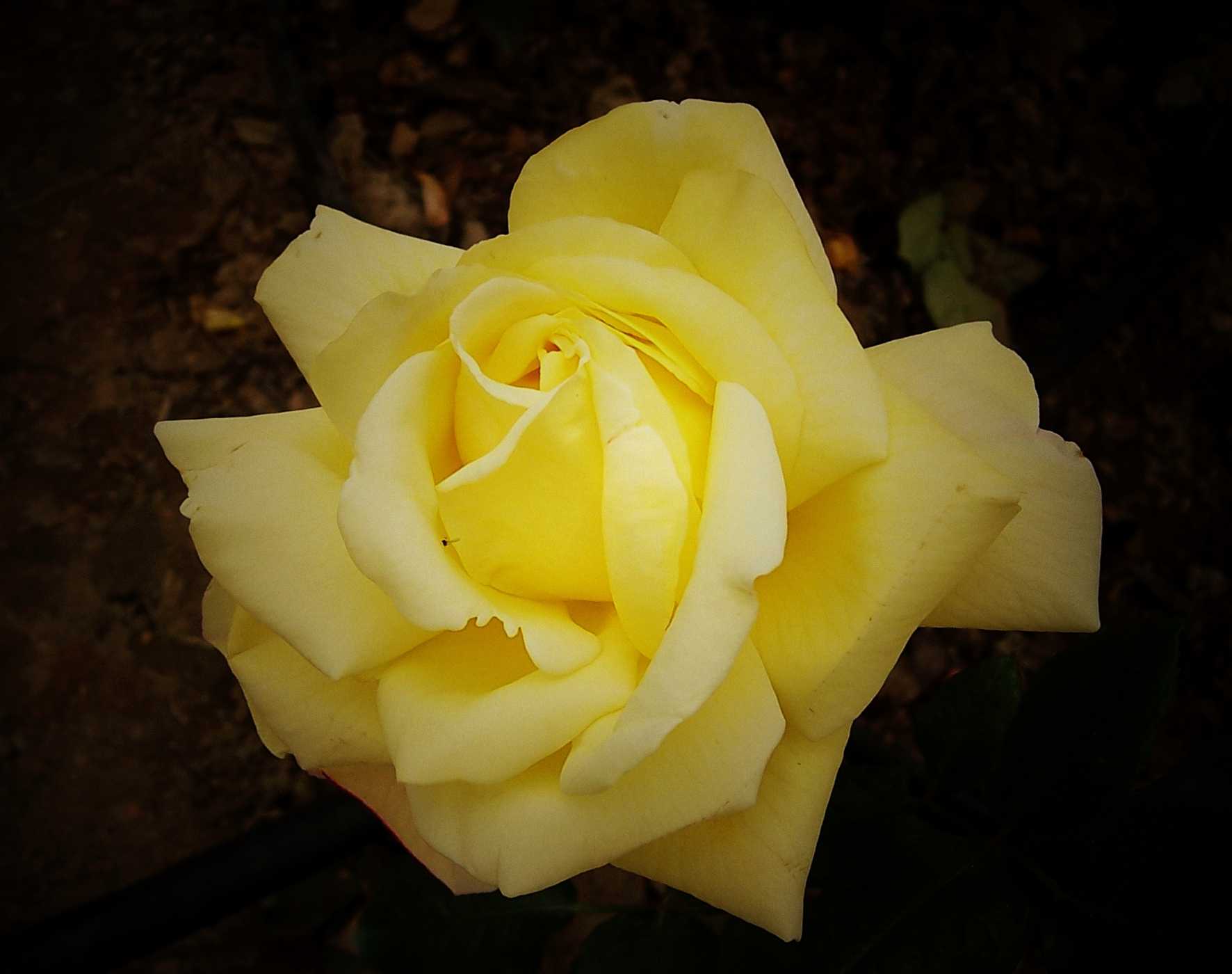 100_8965.JPG