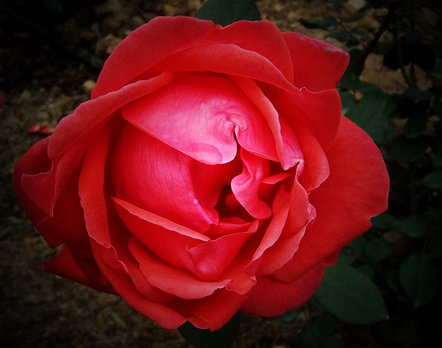 100_8878.JPG