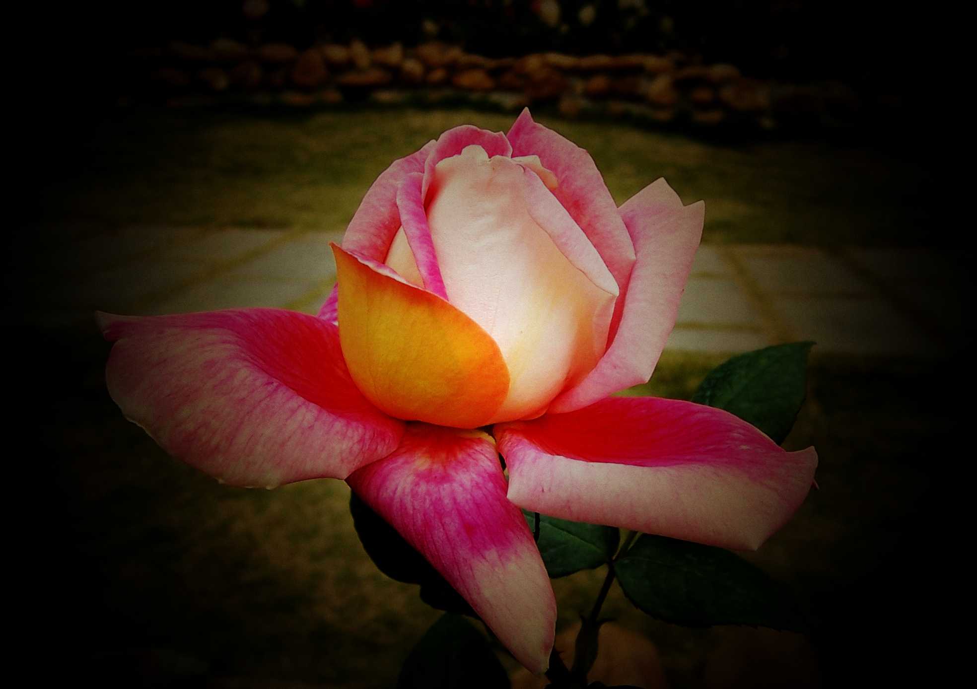 100_9025.JPG