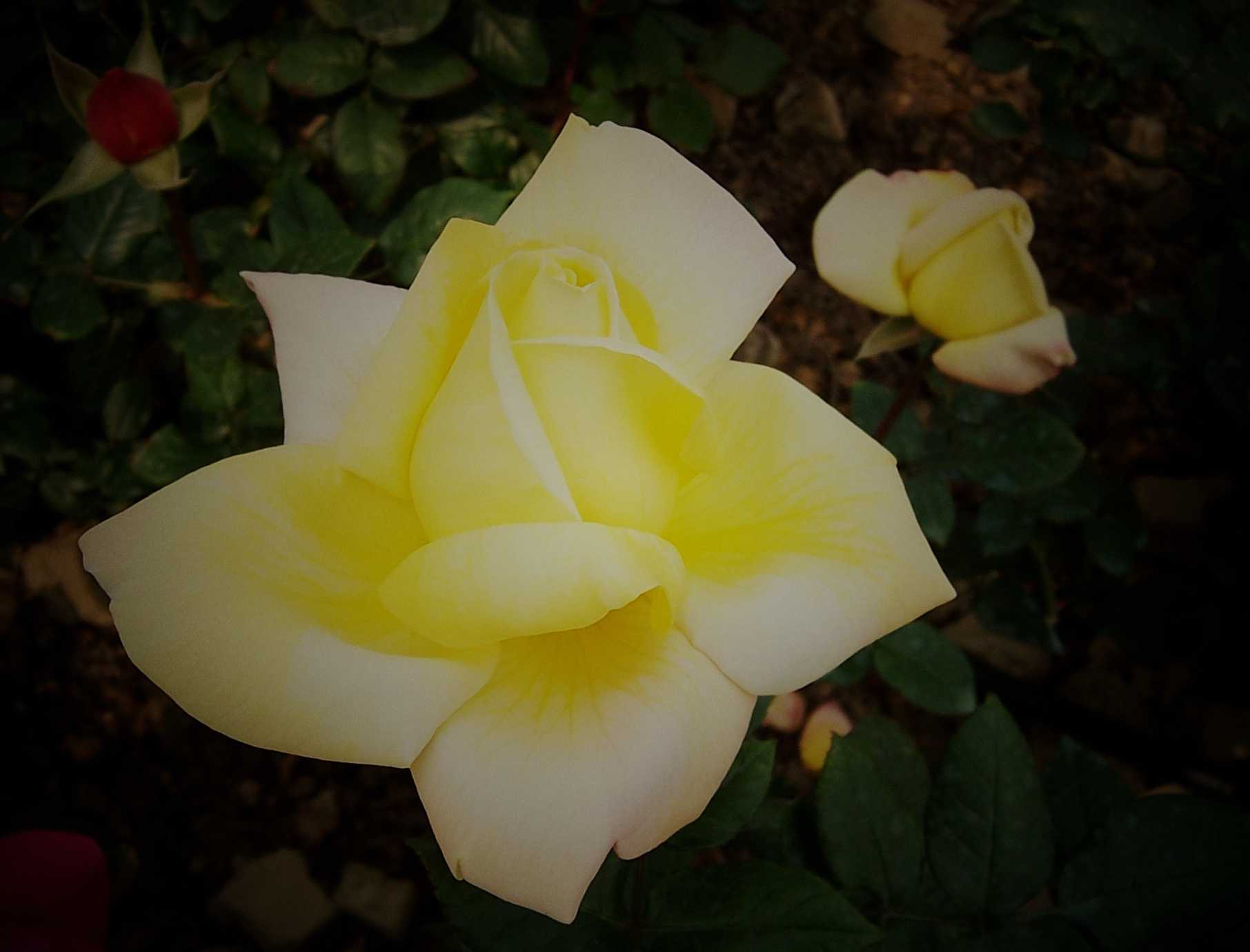 100_8973.JPG