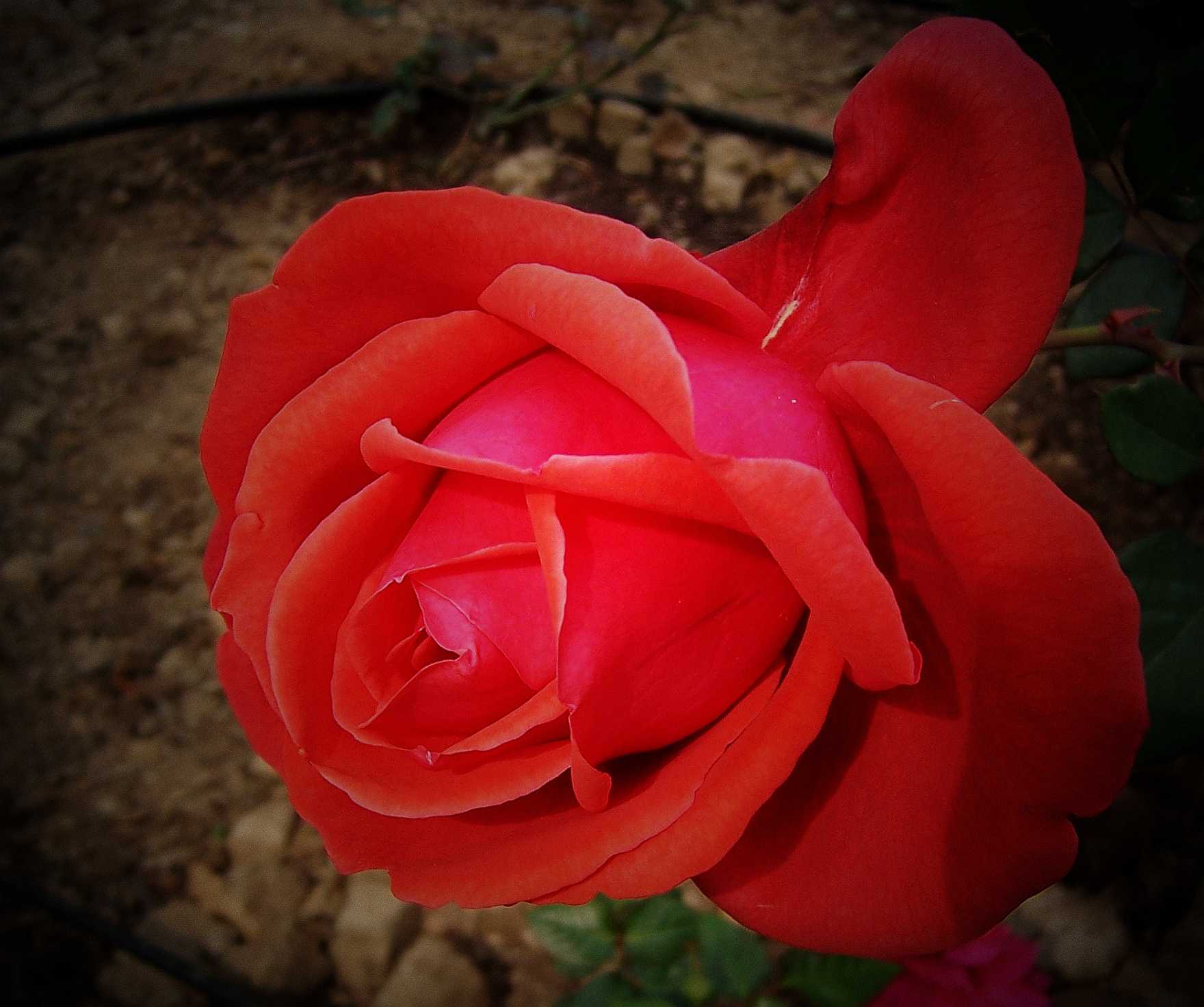100_8883.JPG