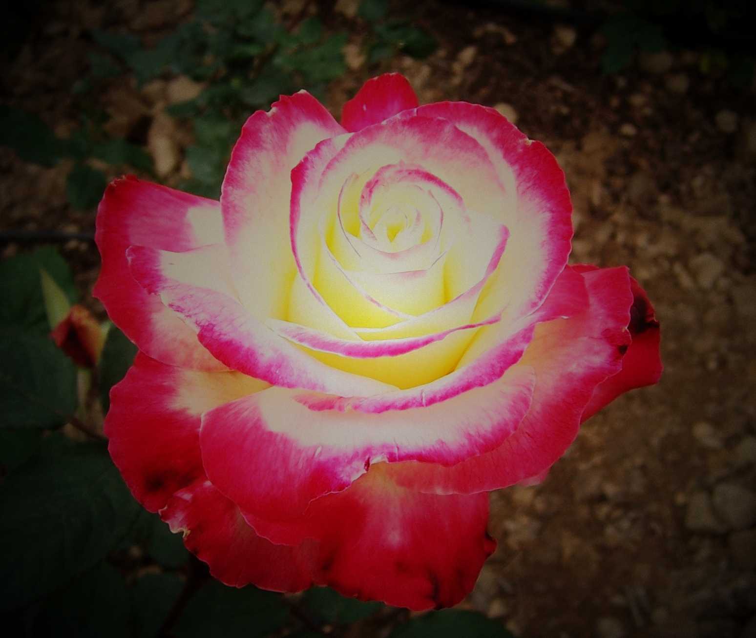 100_8896.JPG