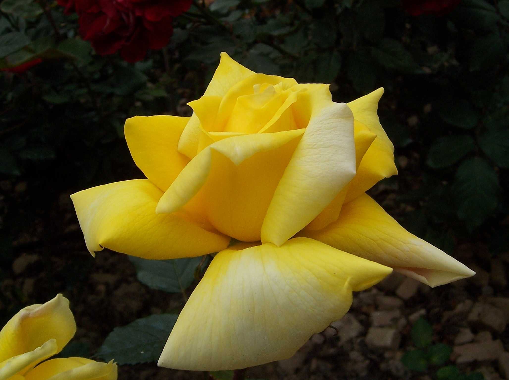 100_9006.JPG