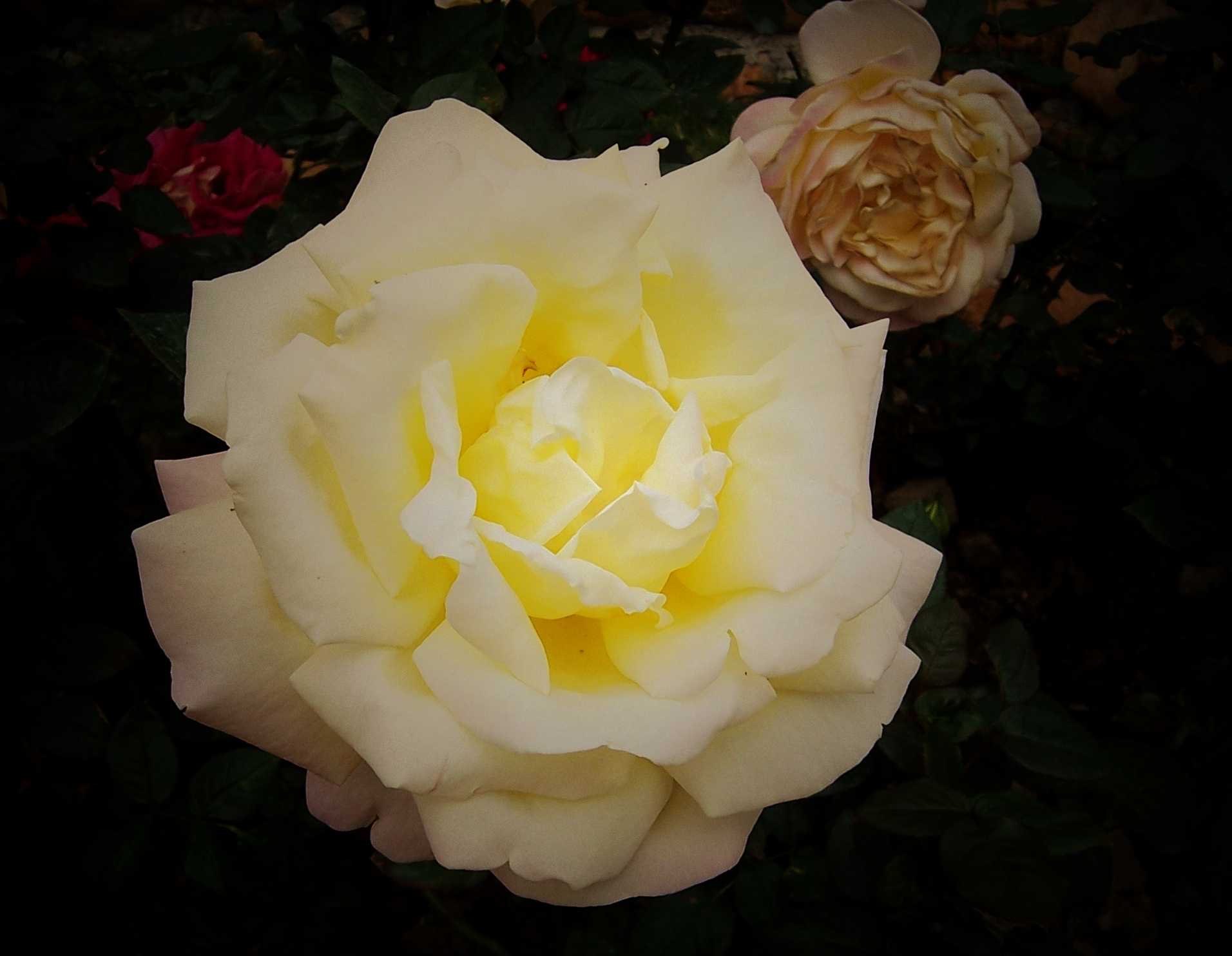 100_8958.JPG