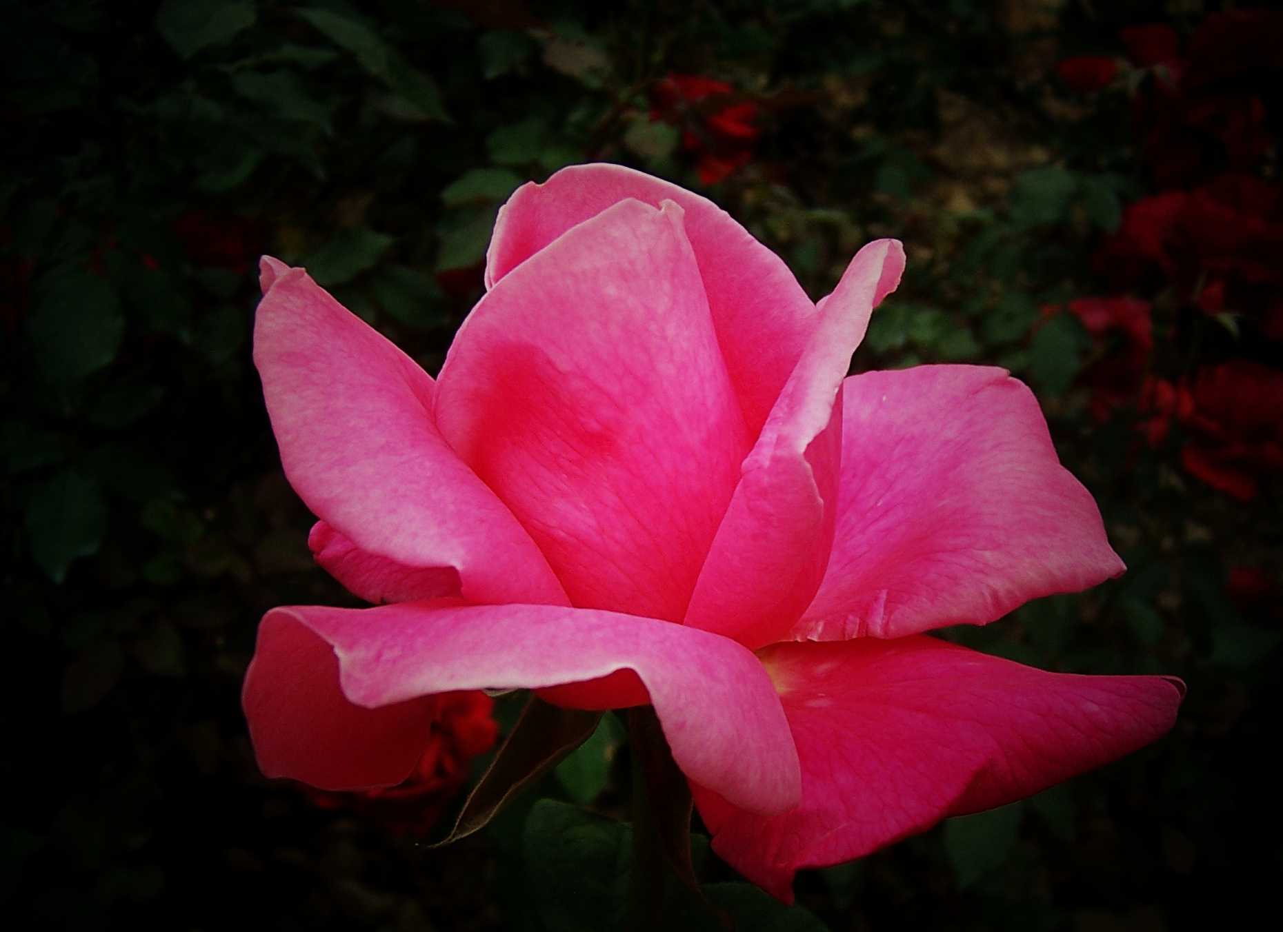 100_9016.JPG