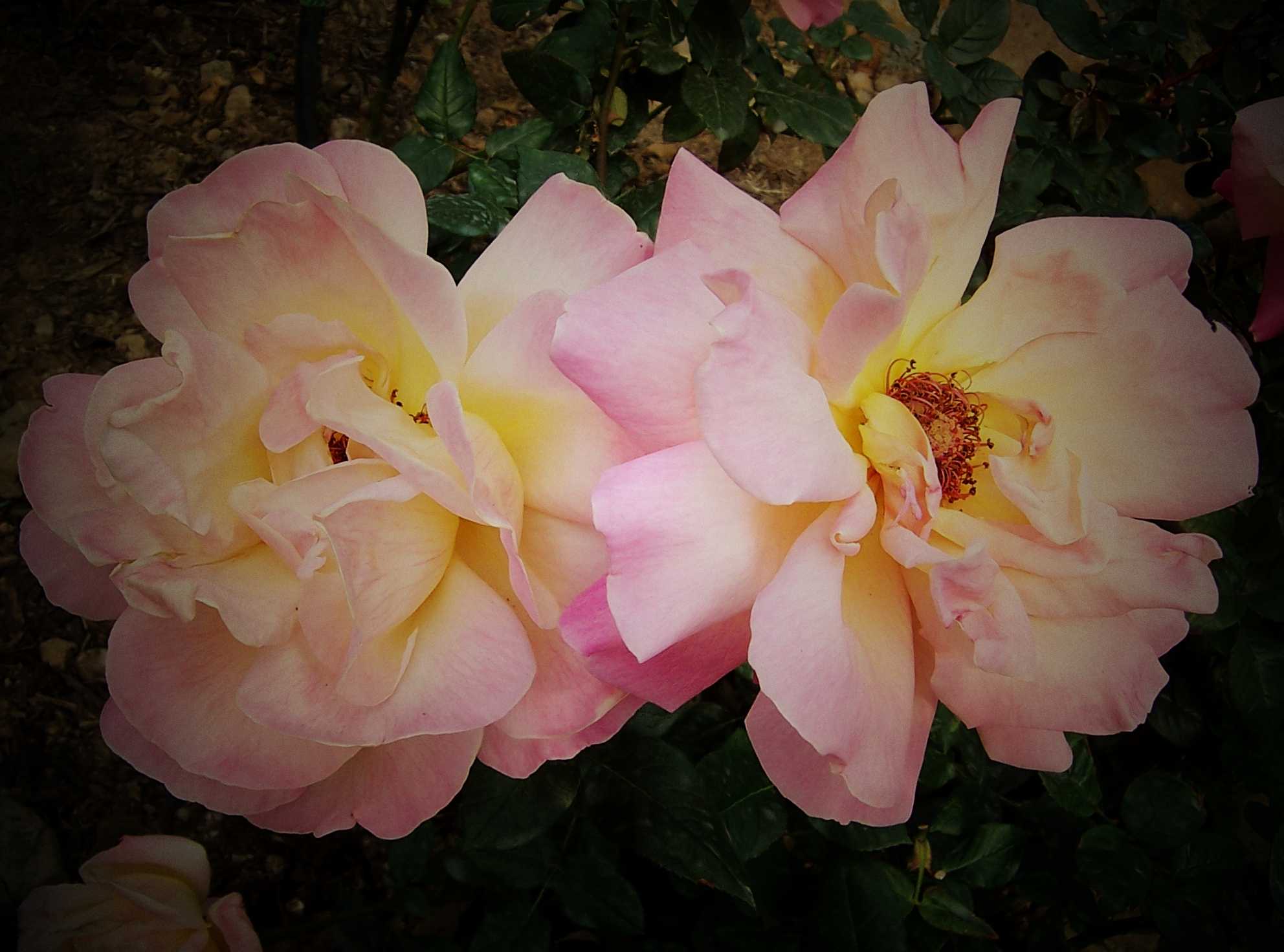 100_8970.JPG