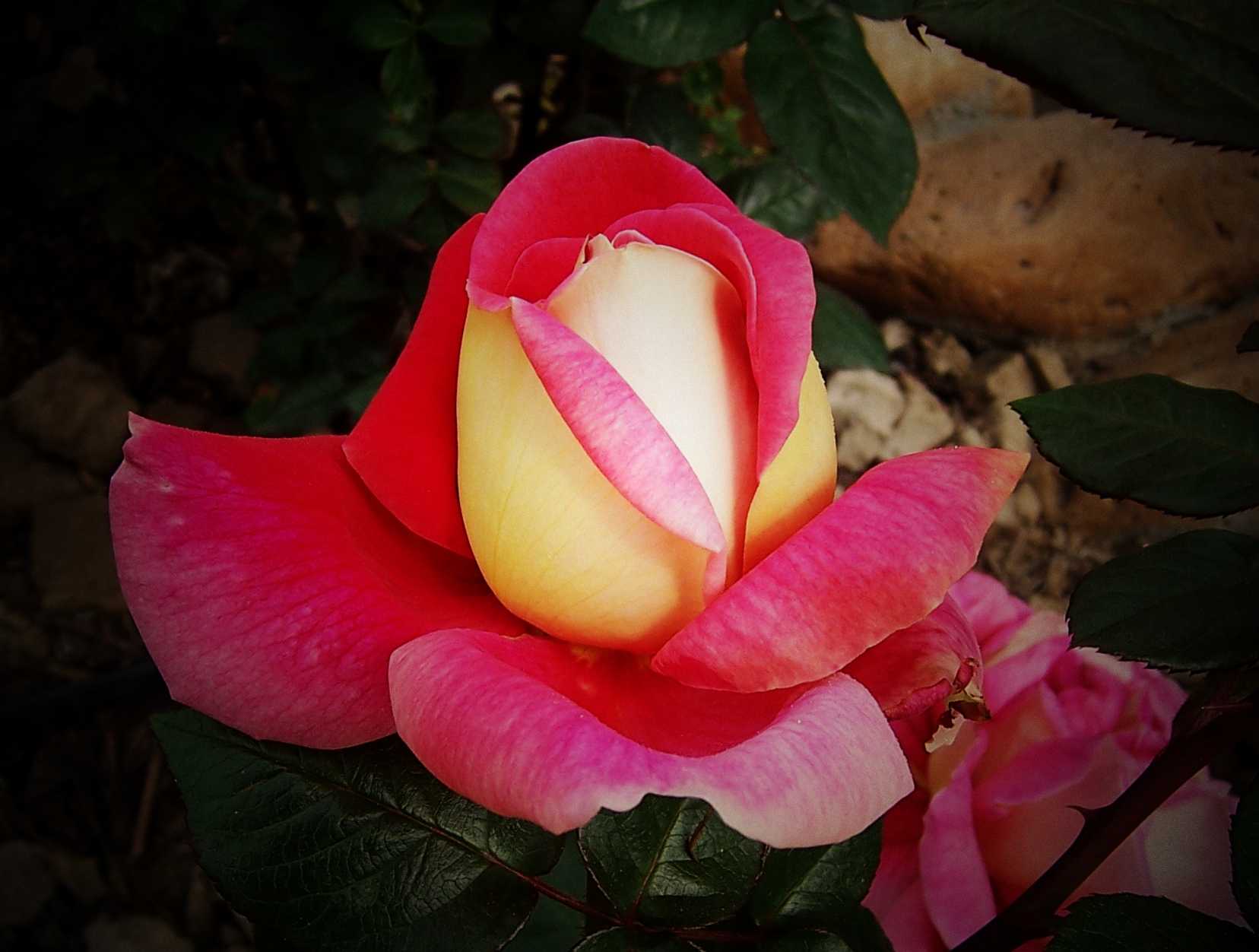 100_8906.JPG