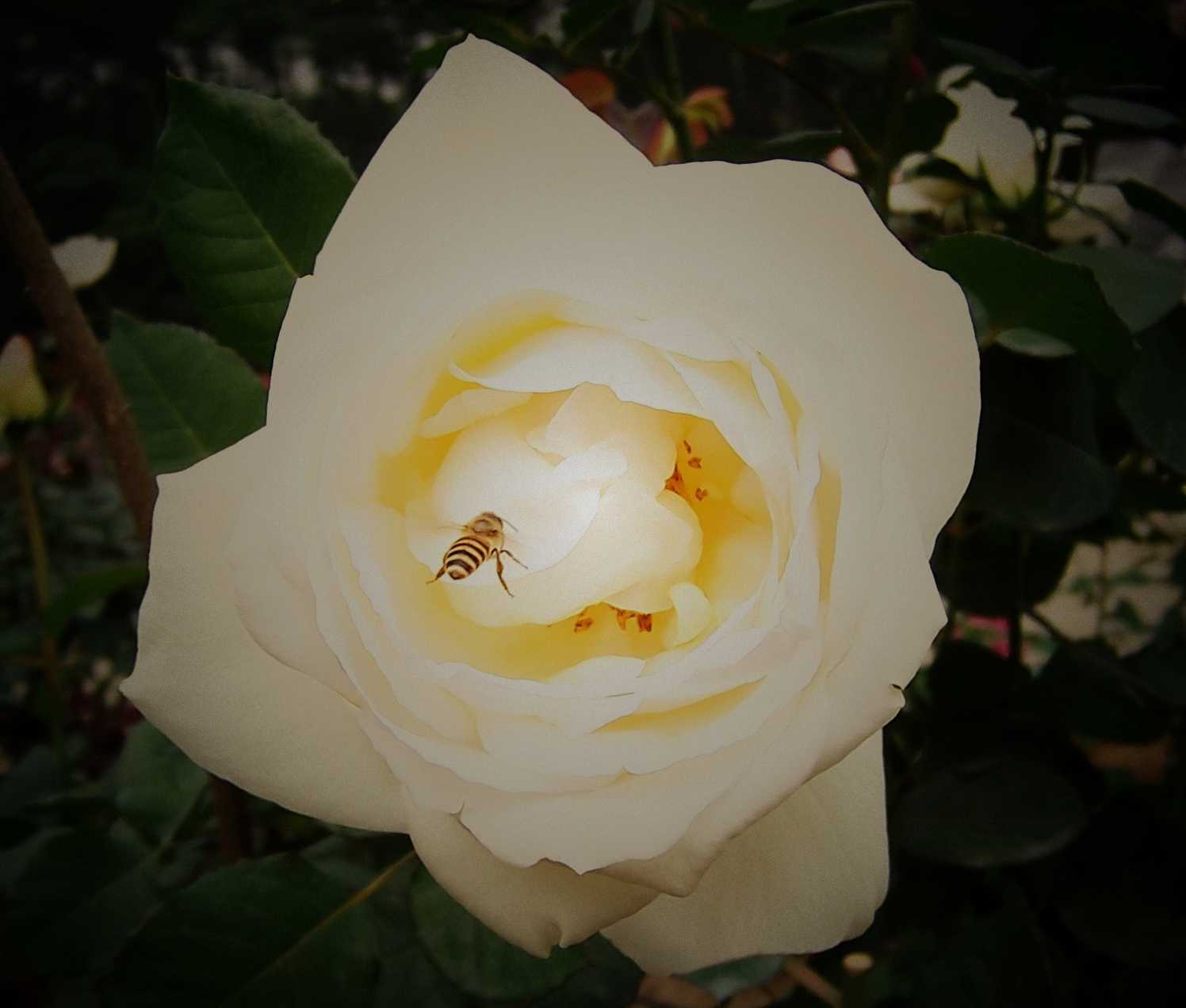100_8893.JPG