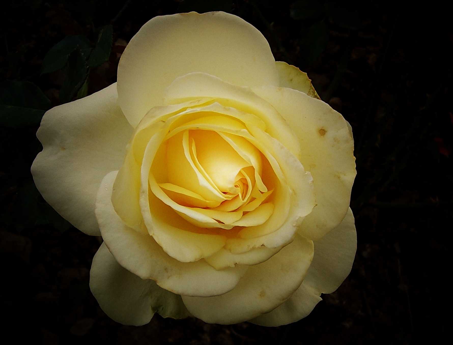 100_8943.JPG