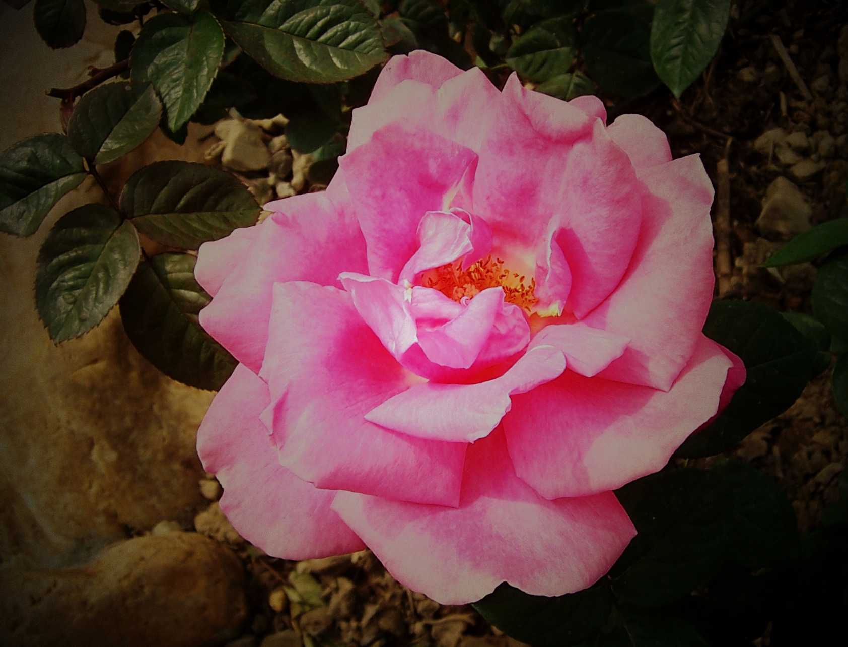 100_8908.JPG