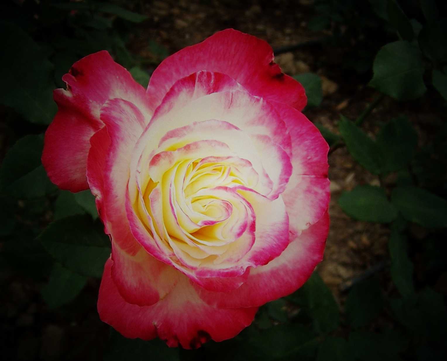 100_9034.JPG