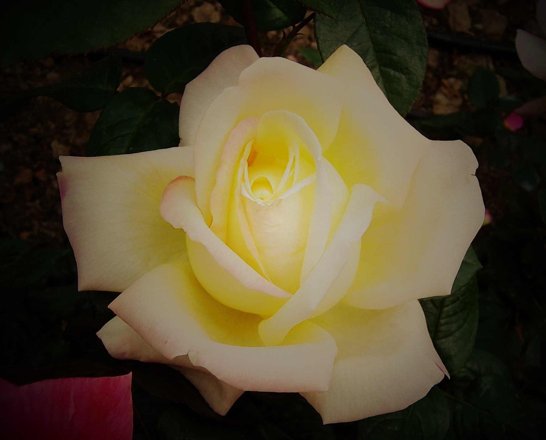 100_8977.JPG