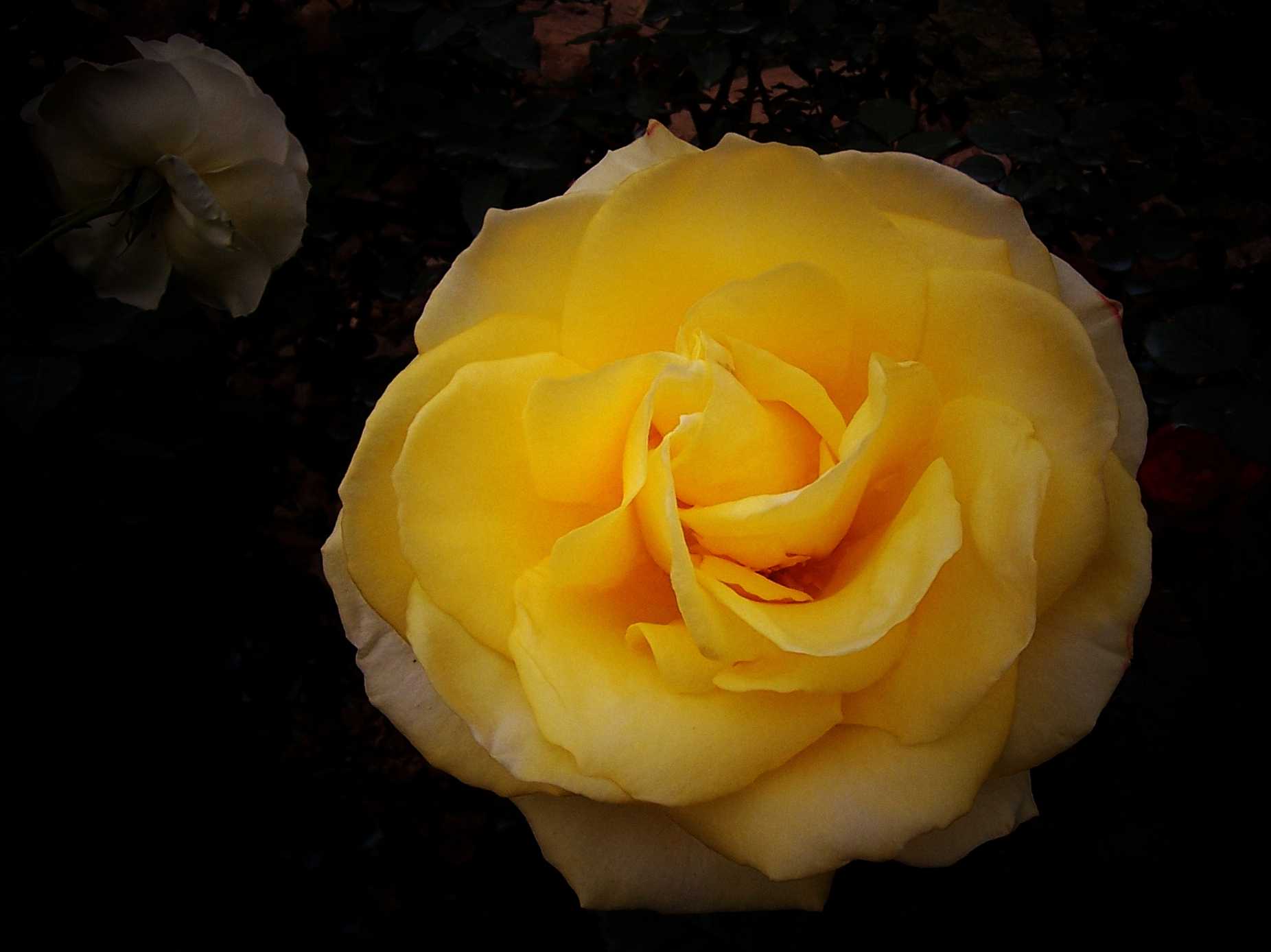 100_9008.JPG