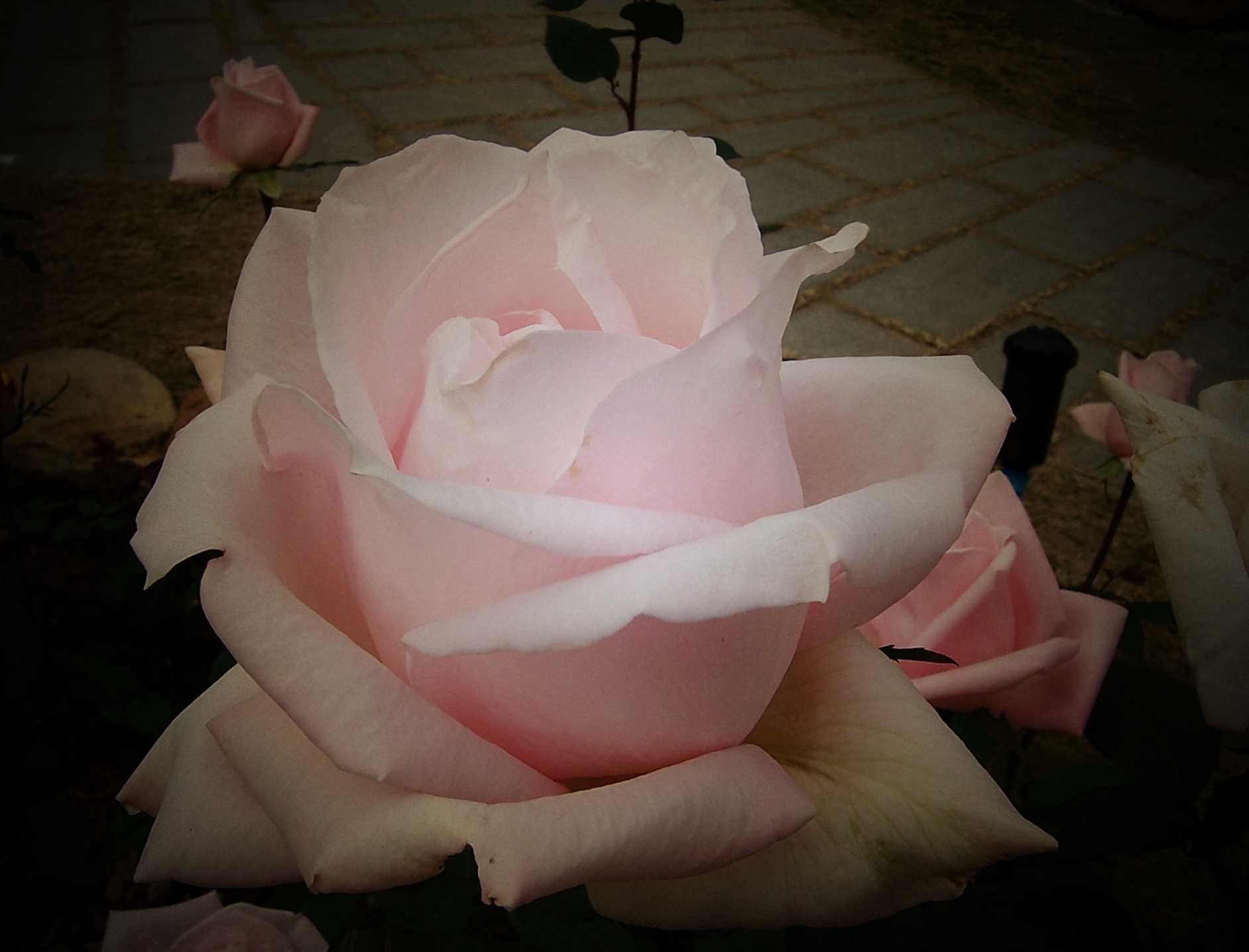100_8934.JPG
