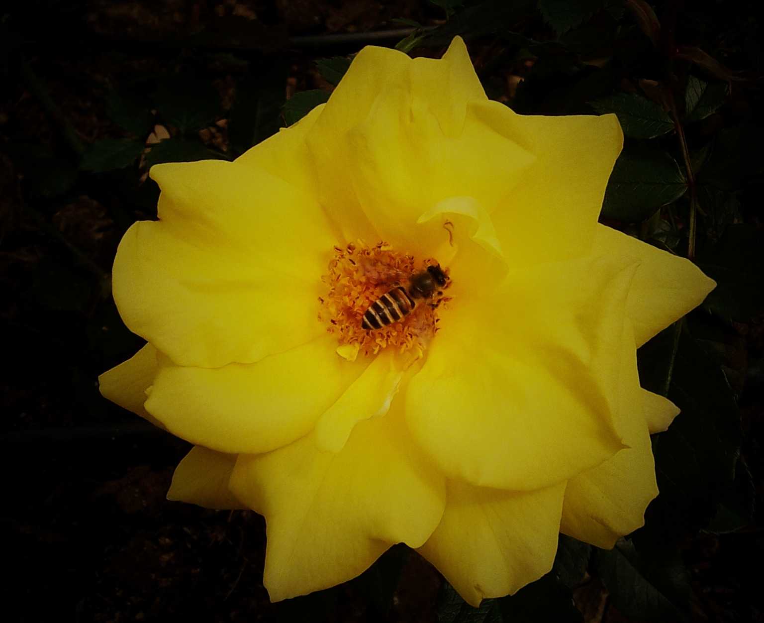 100_8925.JPG