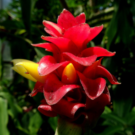DSC01406m_1.jpg