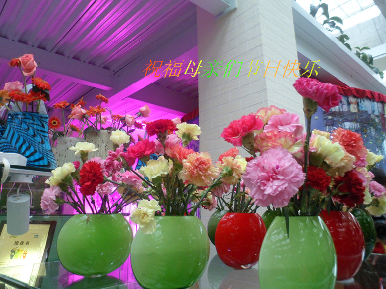 SAM_9414_3.jpg