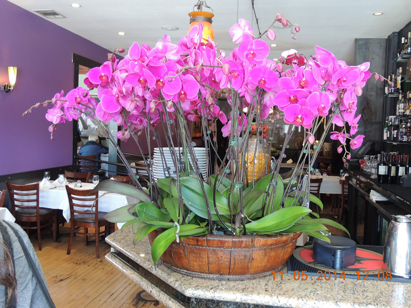 Mother&#39;s day 2014 033_.jpg