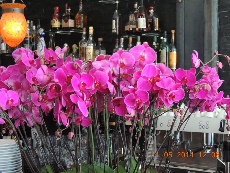 Mother&#39;s day 2014 031_.jpg