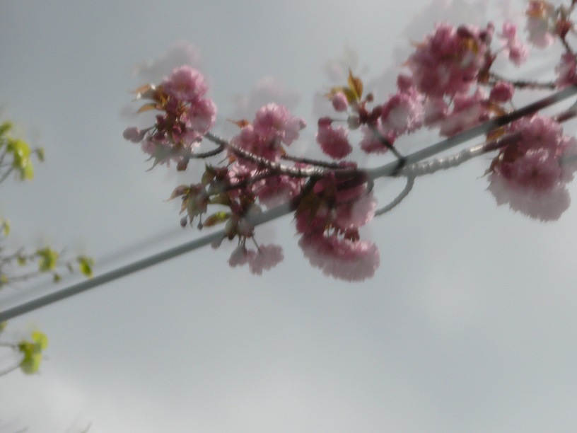 L1500499.JPG