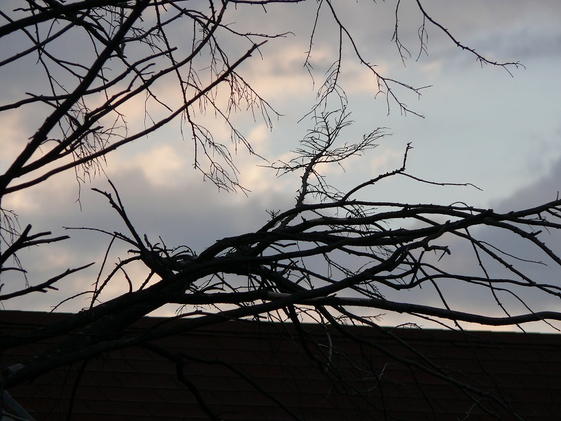 L1480845.JPG