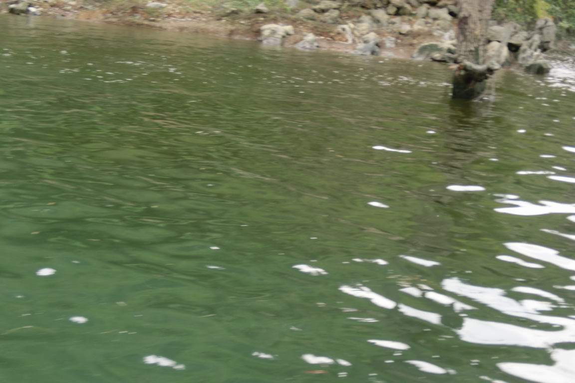 CIMG0684.JPG