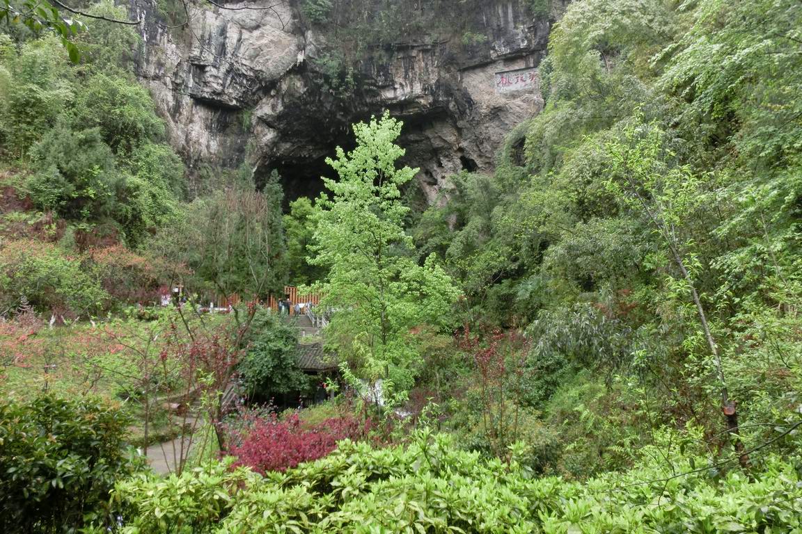 CIMG0752.JPG