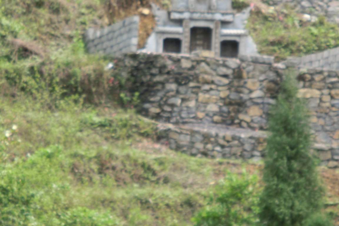 CIMG0681.JPG
