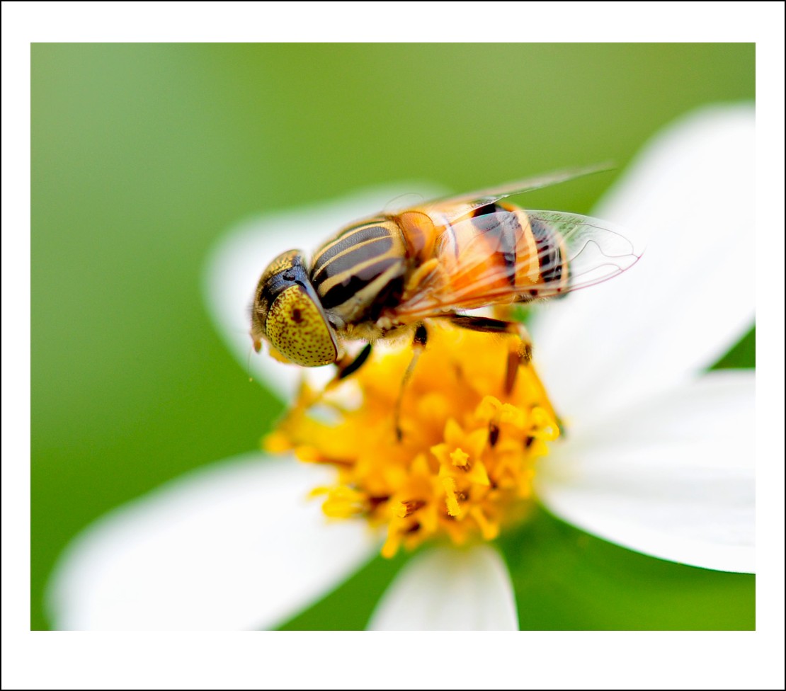 DSC_9465_conew1.jpg
