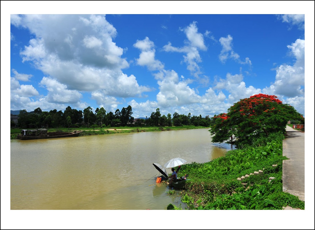 DSC_1434_conew1.jpg