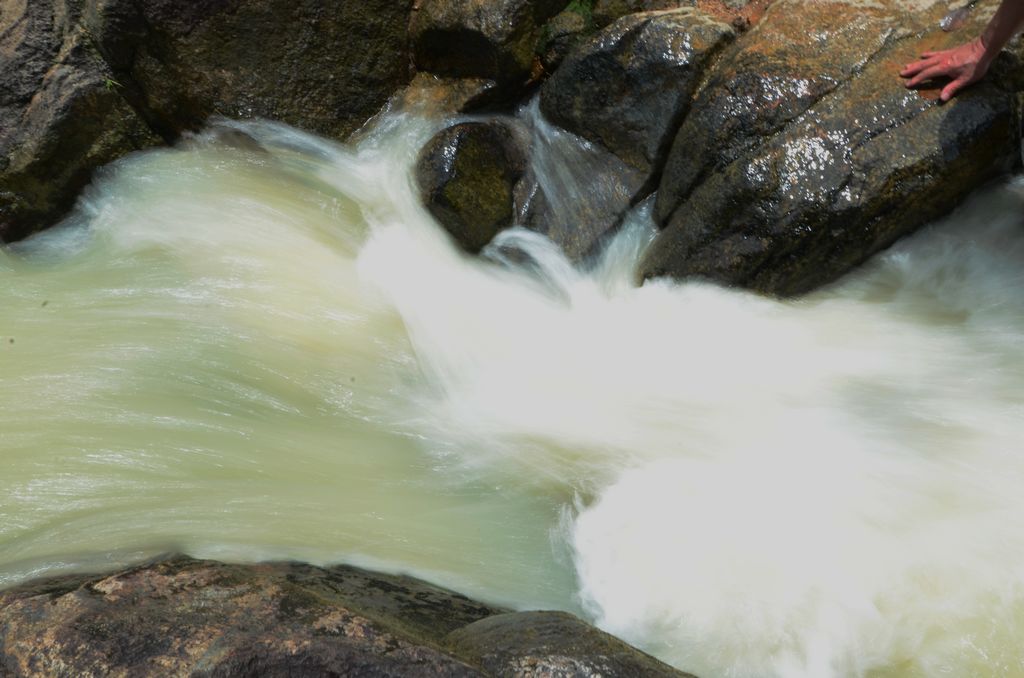 DSC_0807.jpg