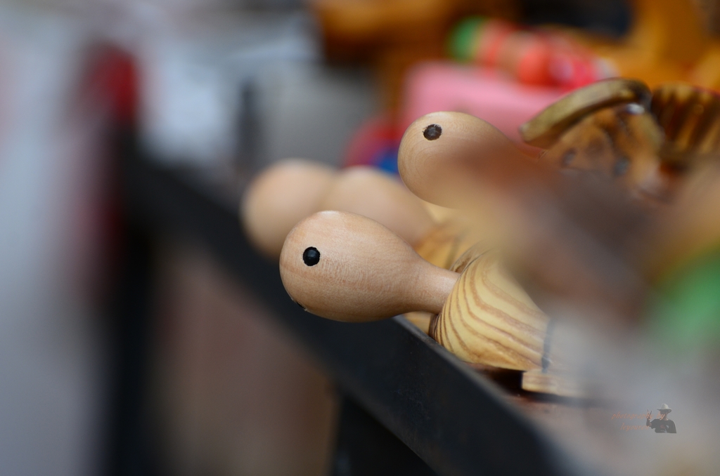 DSC_0834.JPG