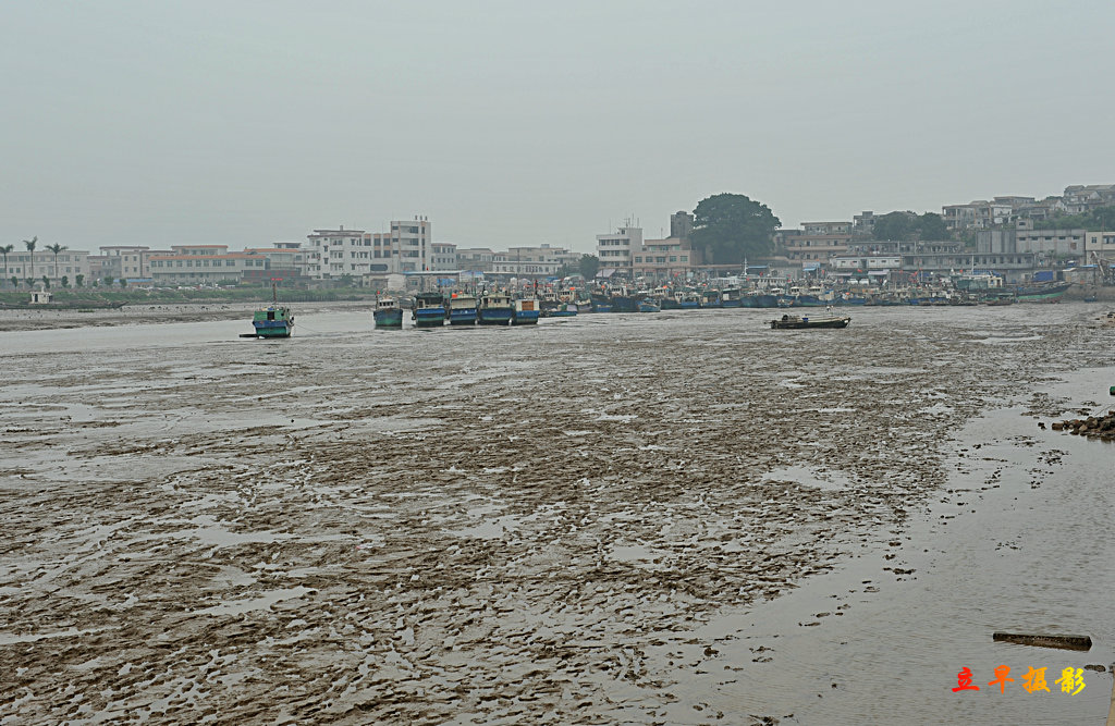 DSC_3353.JPG