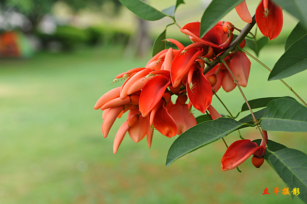 DSC_2864.JPG