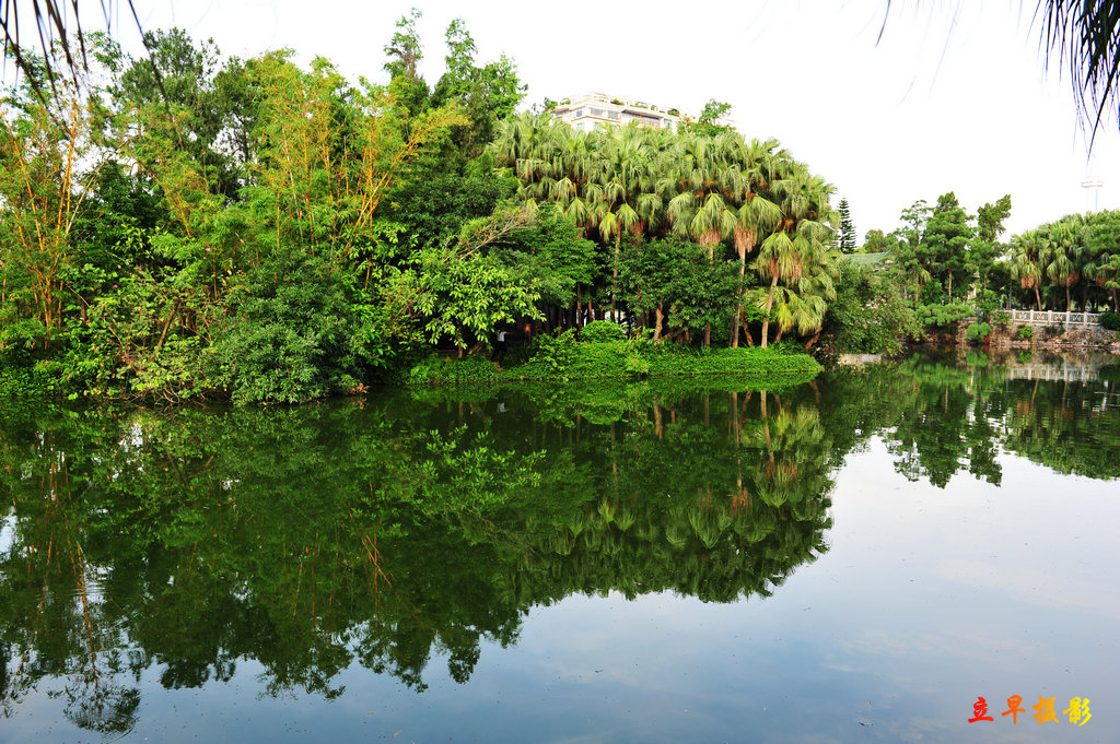 DSC_3741.JPG