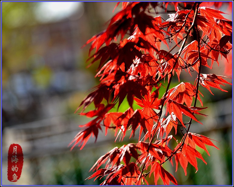 DSC_1480_.jpg