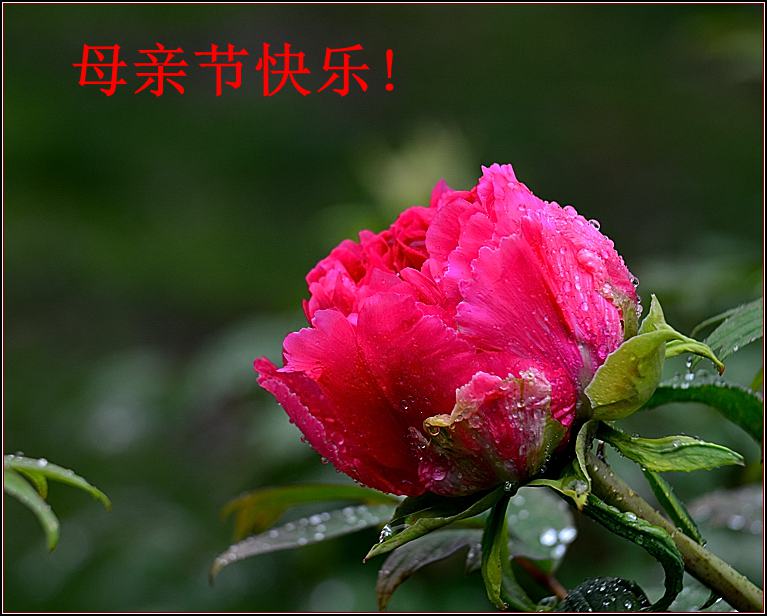 DSC_2460_����.jpg