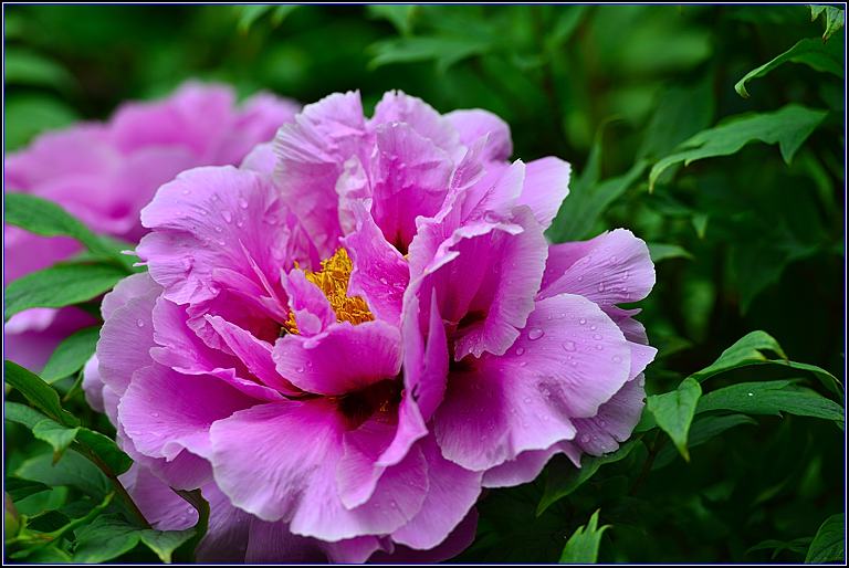 DSC_3030_����.jpg