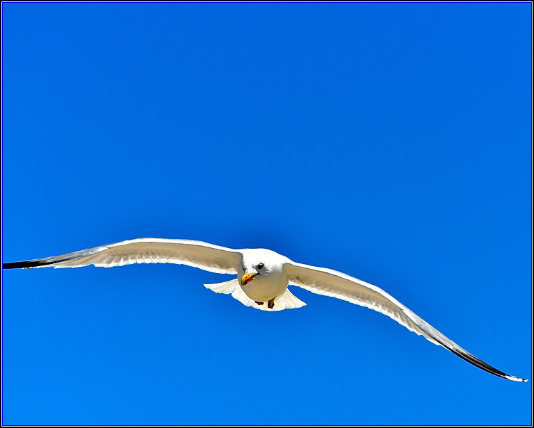 DSC_4571.jpg