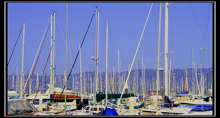 IMG_7464.JPG