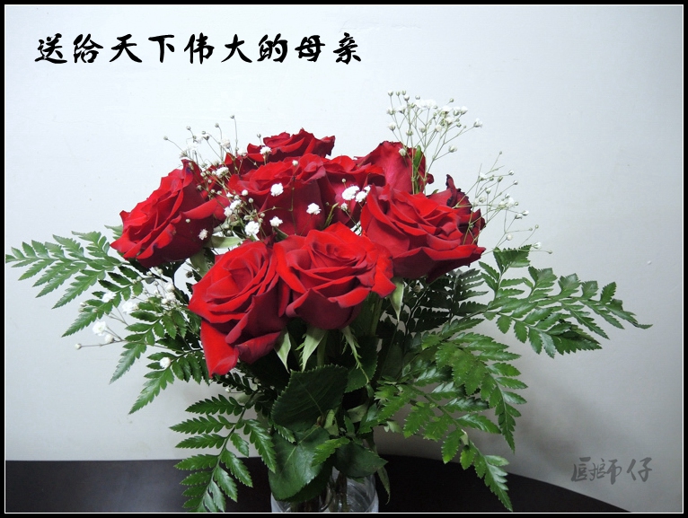 DSCN1191_����.jpg